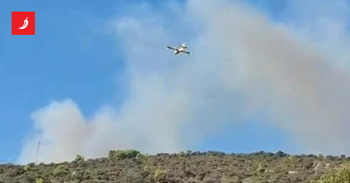 Sevid kod Trogira u plamenu: kanaderi skrenuti s Brača — Dalmacija dijeleći nebo