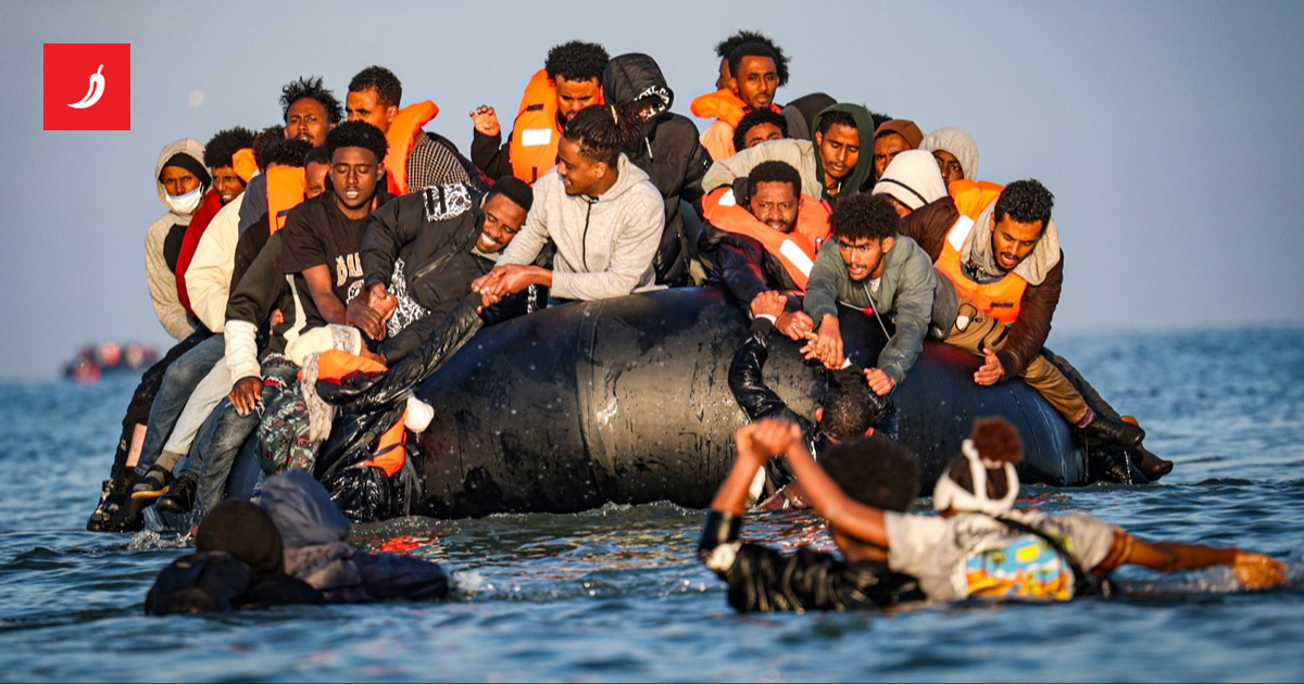Francuzi dokumentirali ozljede deportiranih iz Britanije: cijena propale migracijske politike