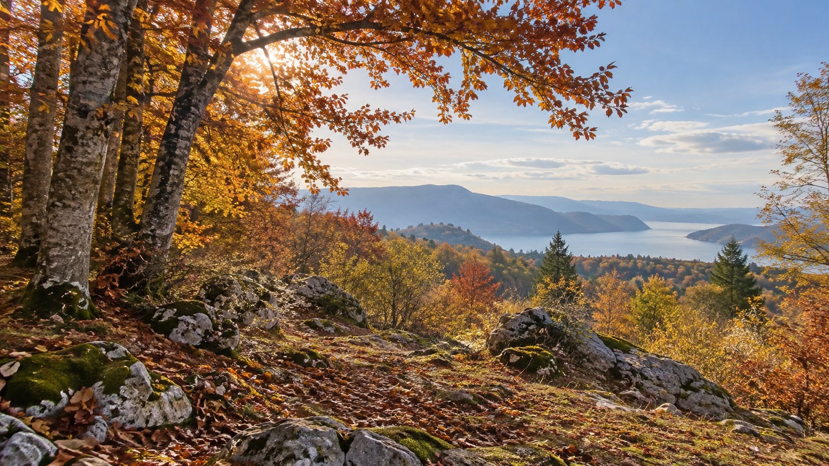 MIJENJAJU SE PRAVILA LOVSTVA: Prijedlog ide u Sabor