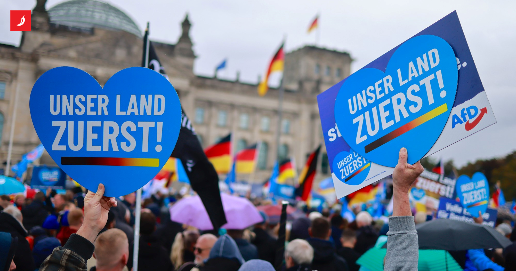 NJEMAČKI SUD ZAUSTAVIO MRZITELJE: AfD nije protuustavna! UDAR na globaliste!
