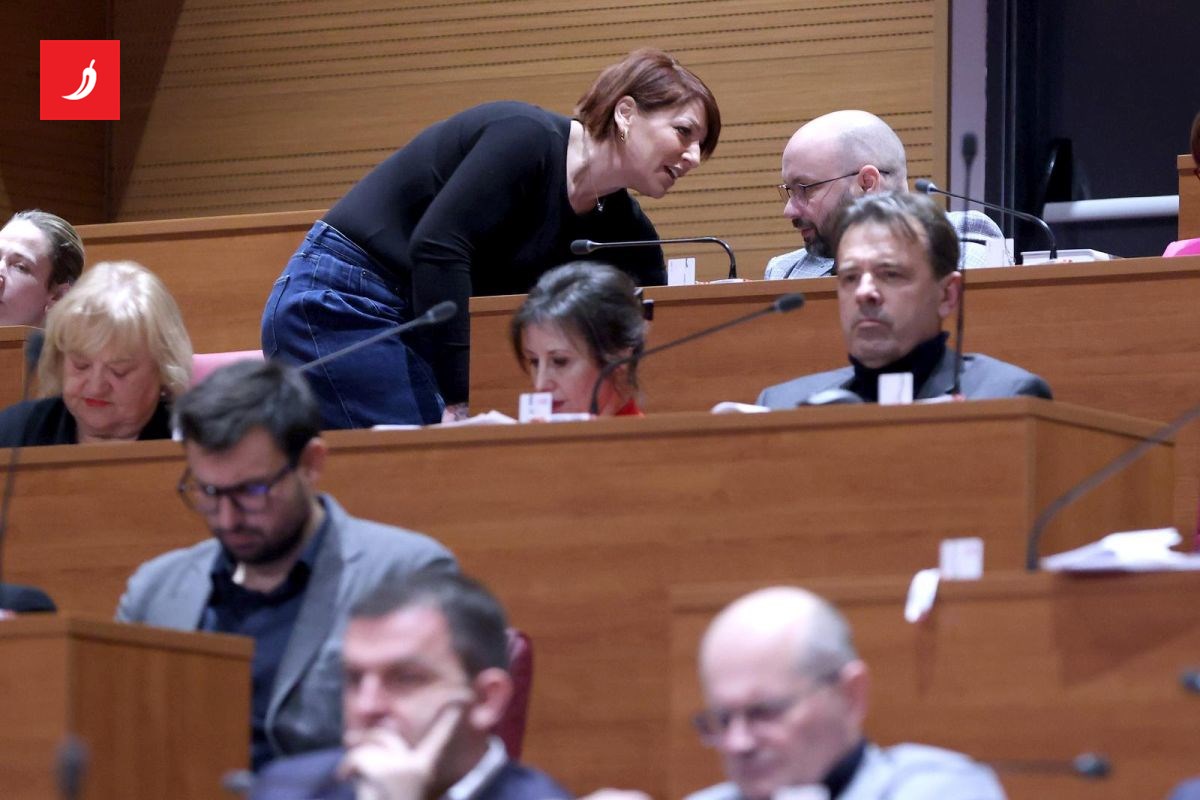 PLENKOVIĆ 'OUTSOURCAO' ŽETONČIĆE! SADA KUPUJE SABORSKE LJUBIMCE!