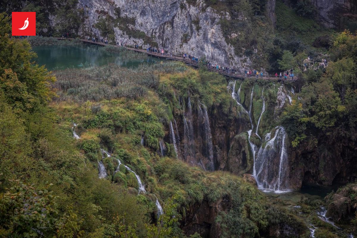 Vučković dijeli, Hrvatska PLAĆA! Soroševci trljaju ruke!