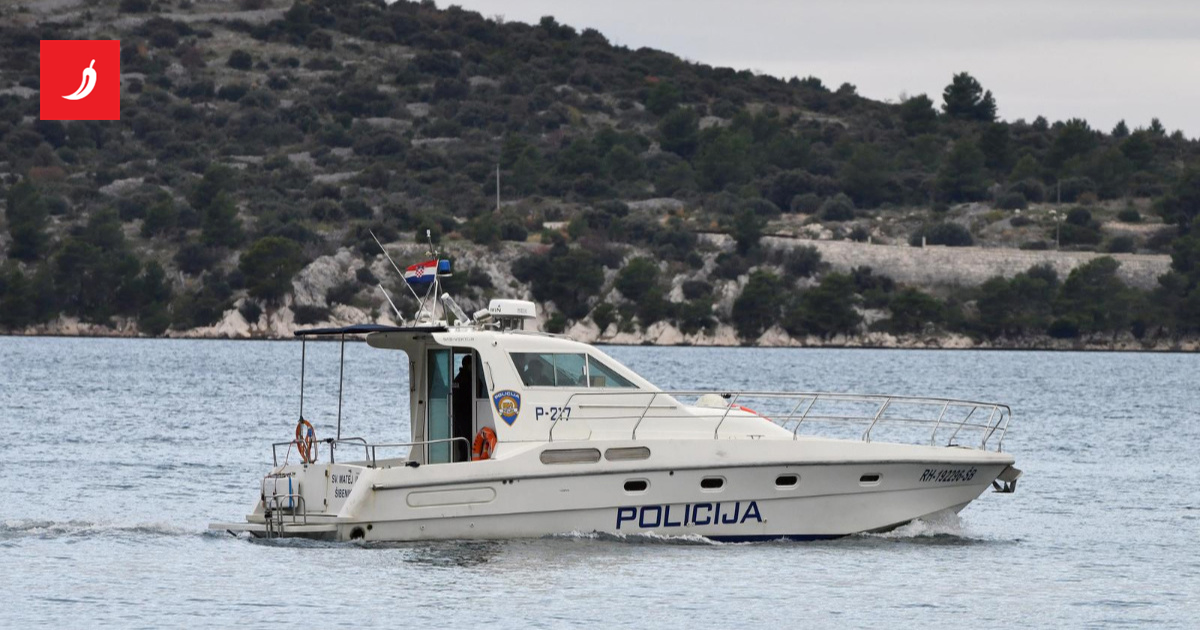 ZADAR U ŠOKU: KRIMINALCI POHARALI MORE! 3000 JEŽEVA IZVAĐENO!