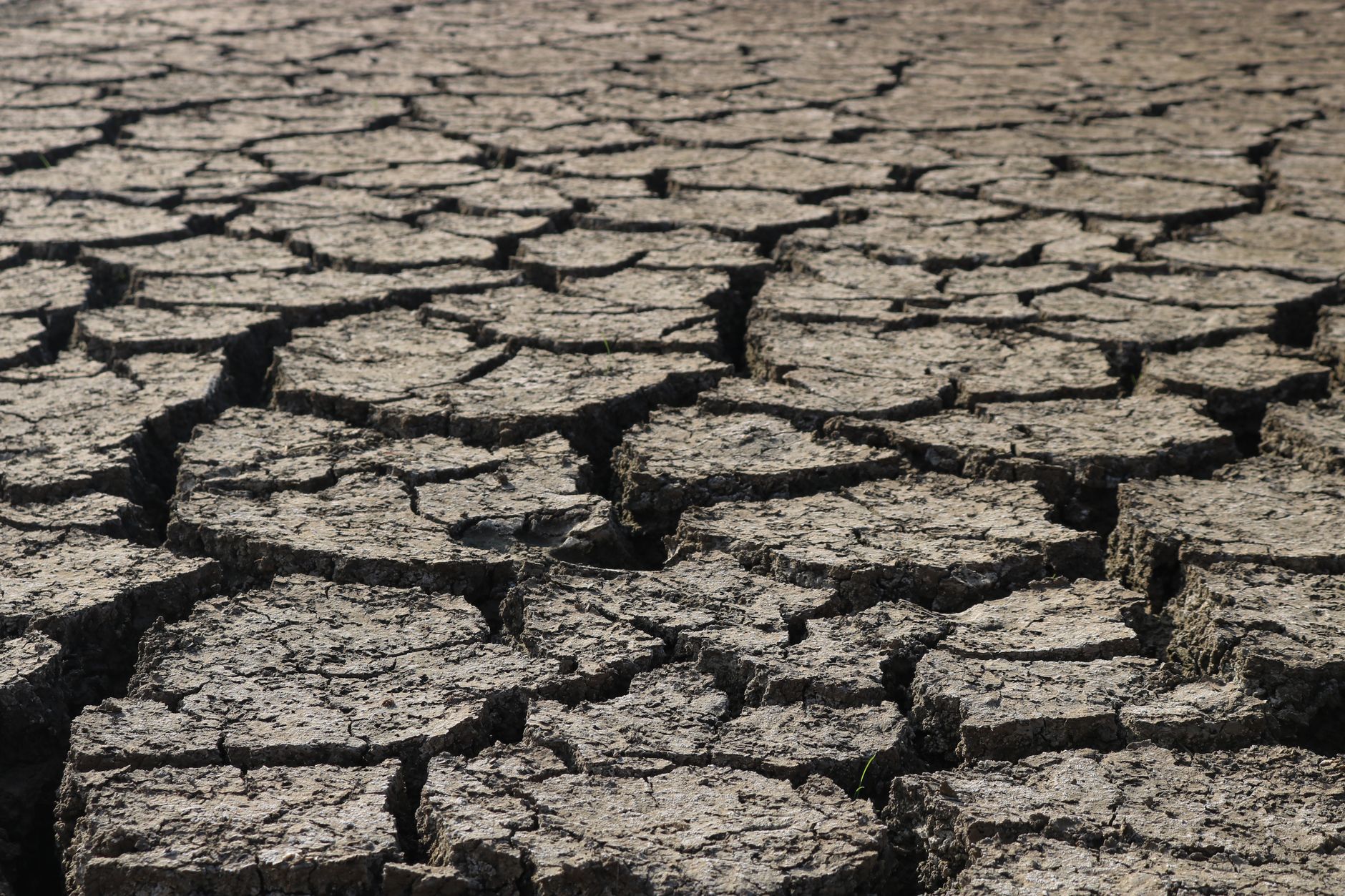 Suša u Francuskoj: vodena ograničenja na gotovo 70 posto teritorija